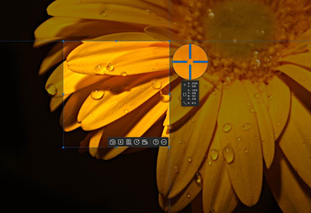 ashampoo® snap 17